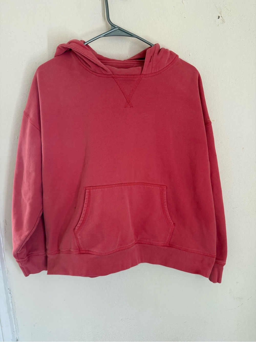 American Eagle Outfitters Washed Rose Crewneck Hoodie